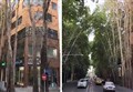 تشکیل پرونده قضائی برای خشک کردن درختان خیابان ولیعصر