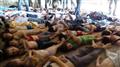 افزایش شمار قربانیان حمله شیمیایی سوریه به 100 نفر