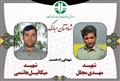 جزییات هولناک از شهادت دو محیط بان زنجانی و دستگیری قاتلان 