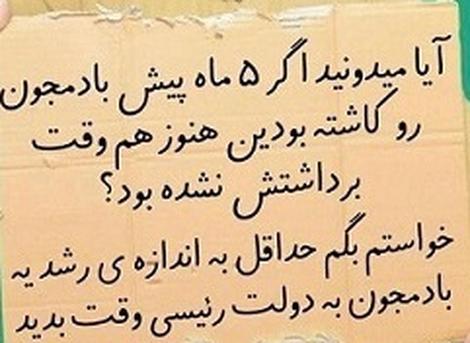 پس کِی می‌رسد بادمجان‌‌های‌تان؟!