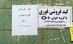 بني آدم اعضاي يكديگر مي خـرند ! 