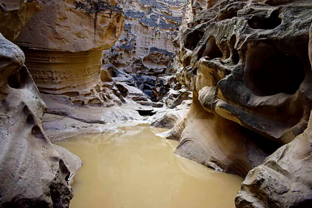 برخورد قانونی در صورت محرز شدن تخلف در صدور مجوز واگذاری اراضی پرورش میگو در قشم 